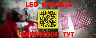 хмурый Кингисепп
