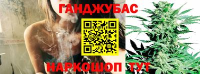 хмурый Кингисепп