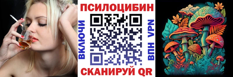 Псилоцибиновые грибы мицелий  Медногорск 