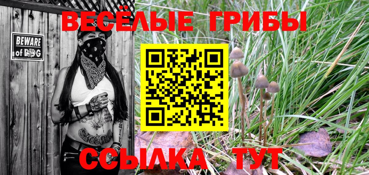 Медногорск  Галлюциногенные грибы MAGIC MUSHROOMS  Вход с VPN 