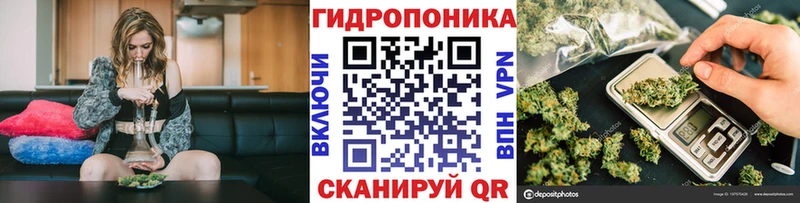 Конопля Amnesia  Медногорск 